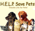 Help Save Pets And People